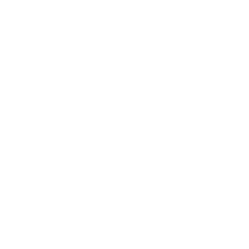 IG logo white 500